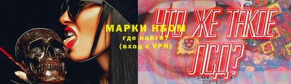 ешки Корсаков